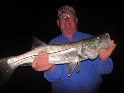 Phil Rever's Venice Grassett Snook Minnow fly snook caught and released with Capt. Rick Grassett