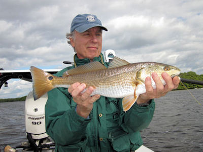Ron Cordes, Sarasota Bay 1st fly red caught and released with Capt. Rick Grassett.