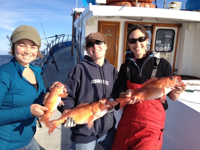 Researchers with a few Chilipepper rockfish