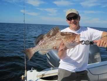 25-inch red grouper, on live shrimp, released 36 miles offshore 10-30-14