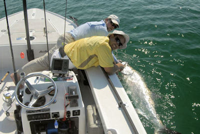 Steve Liska, from NJ, with a tarpon caught and released off Longboat Key with Capt. Rick Grassett.