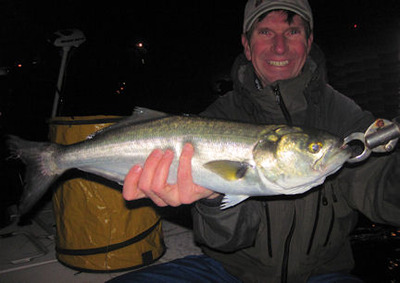 Steve White Grassett Snook Minnow fly Venice ICW night bluefish caught and released with Capt. Rick Grassett