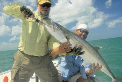 Steven Liska Sarasota 30-pound plus king mackerel