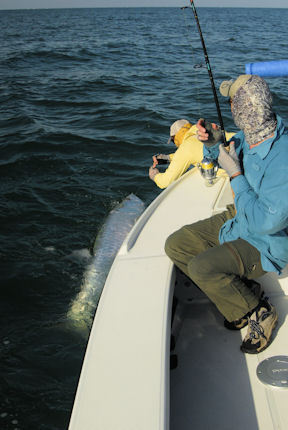 Ted Kottom, from MN, with a 140-lb tarpon caught off Sarasota while fishing with Capt. Rick Grassett.