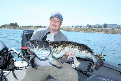 Travis Sallander of Brookings, Ore., holds a 38-inch lingcod caught March 23 out of the Port of Brookings while fishing with Capt. Andy Martin of Wild Rivers Fishing. The lingcod was tricked by a live blue rockfish fished with a jighead.