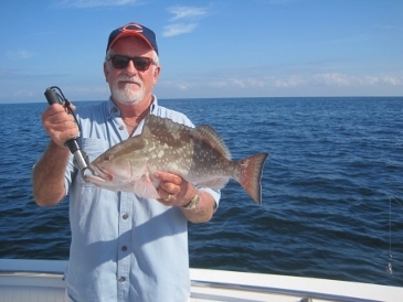 near-20-inch red grouper released, Bonita beach, SWFL