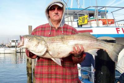 Bob Banta/Warwick, N.J.  45 inch 25 1/2 pound Striper!