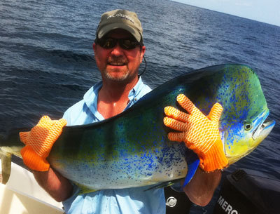 Costa Rica Offshore Fishing Picks Up