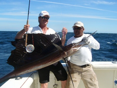 Pacific Sailfish Caught On Fly