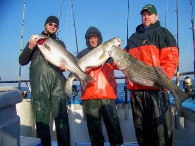 Groupshot/Nice fish