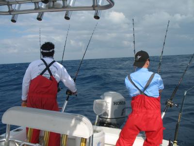 Sailfish prior to release!