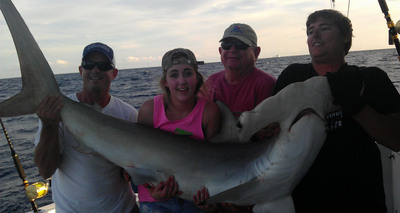 Big Hammerhead caught shark fishing in Ft Lauderdale