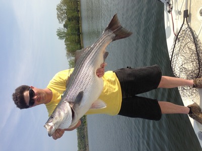 Smith Lake Striped Bass Caught By Fishing 24-7 Guide Service