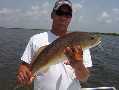 Spoon fed REDFISH