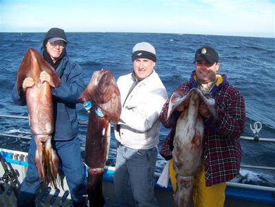 Tom Krebs and a few buddies found out how tough the squid are