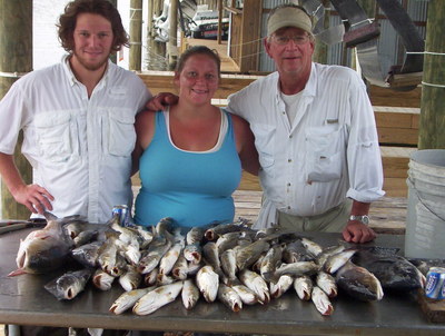 A gang of fish on the table