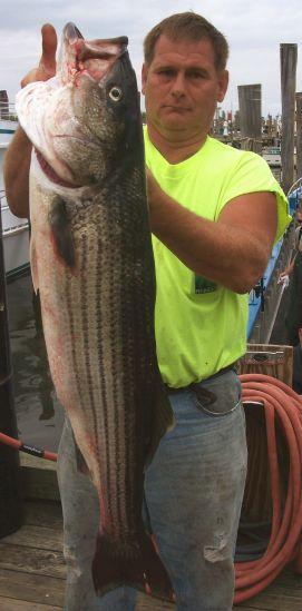 Lew Morton/Saylorsburg,PA  41 inches, 25 pounds!