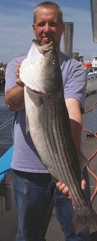 Mitch Jevic/Hillsborough N.J. 35 inches 18 pound long lean male striper.