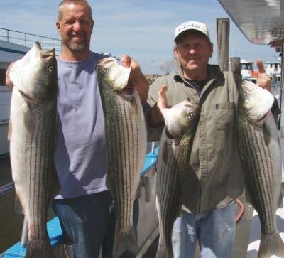 Mitch Jevic and Bill Yurkovitch with some of thier limit catch of Stripers