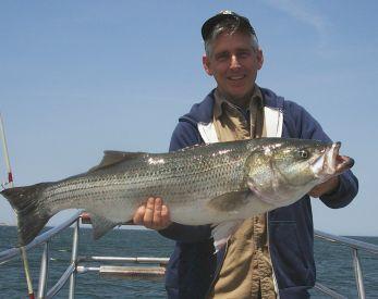 Walter from PA with his first official Striped Bass....41 inches, 23 pounds.