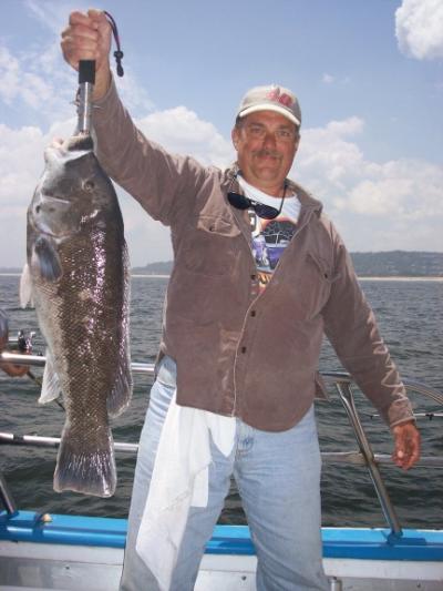 Tom Dykstra, Suffern N.Y. 14 pound Tog..Male fish, all spawned out, or it would have gone back!