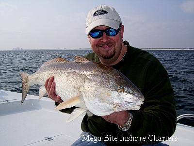 Joe with another big Redfish.