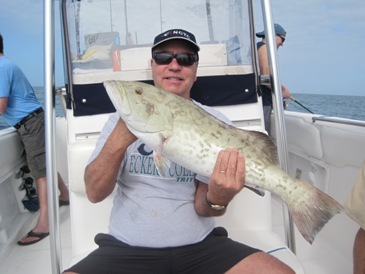 30-inch, 12-pound gag grouper, released