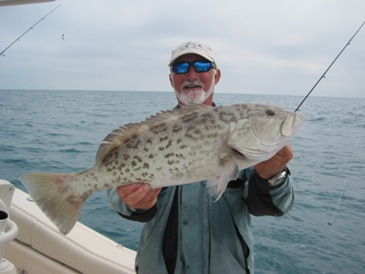 28-inch gag grouper, released due to closed season