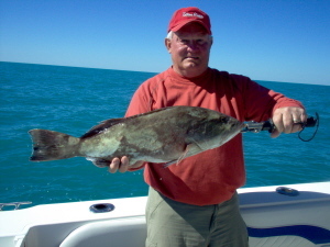 28-inch gag grouper