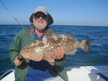 27-inch red grouper
