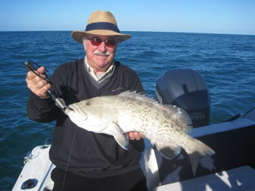29-inch gag grouper on bait-fish, released