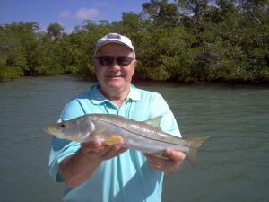 23 inch snook