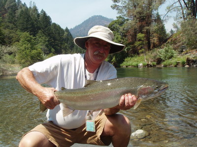 11 pound trinity river wild steelhead caught while with guide Dave Jacobs in August 2008