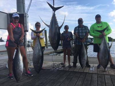Amazing Day of Catching Tuna