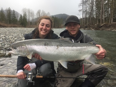 Beauty wild Steelhead caught near Vancouver BC