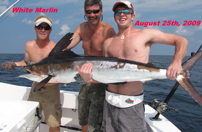 Nice white marlin caught Aug 2009